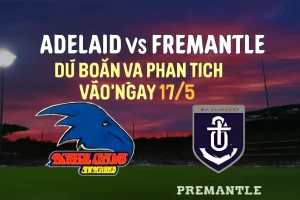 Adelaide vs Fremantle: Dự Đoán và Phân Tích Trận Đấu Vào Ngày 17/8