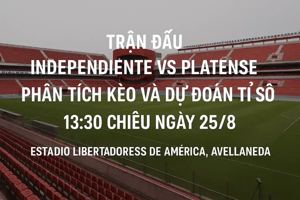 Estadio Libertadores de América 25-8 (1)